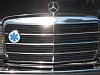 Should i paint this Grill??-elderbenz2-001.jpg