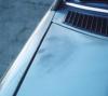 Damaged paint spots...are they repairable?-hood-side-02-no-flash-.jpg