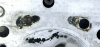 Click image for larger version

Name:	head2.gif
Views:	607
Size:	43.1 KB
ID:	112851