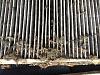 Award for filthiest W210 cabin filters?-cf2.jpg