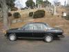 How about a W123 300D roll call...-profile.jpg