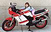 Cars and Motorcycles-rz350.jpg