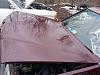 Parting out W124 TD wagon 1987 300TD  (Winchester, Va)-hood.jpg