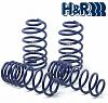 Mercedes-Benz W123 H&R Coil Springs Suspension Lowering Kit-hr.jpg