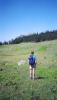 The Monashees in BC (backpacking trip)-meadow.jpg