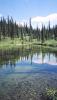 The Monashees in BC (backpacking trip)-pond.jpg