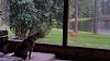 Pet deer-gracie-watching-deer.jpg