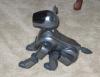 What kind of dog do you have?-puppy-1.jpg