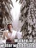 More snow-walken_in_a_winter_wonderland.jpg