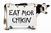 Feral Chickens on Kauai-chik-fil-a_cow-eat-mor-chikin.jpg