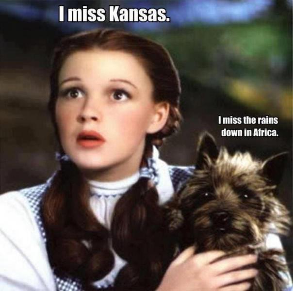 99627d1329151303-nuther-lesson-current-teenagers-dorothy-toto.jpg
