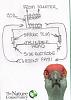 How many volts in the 94 M104 Waste Spark system?-waste-spark.jpg-1.jpg