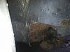 Too Much Rust To Repair?-img_0487.jpg