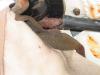 Leaking may not be due to windshield gasket-drivedrainrust.jpg