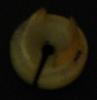 What do you call this part, part number ?-stop1.jpg
