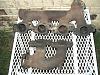 OM603 Exhaust Manifold F/S-s1052125.jpg