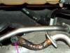 1999 Mercedes ML320 P0400 - rough idle-mercedesml320.jpg