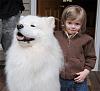 I want to adopt a Samoyed-25305_1256929877422_1654878540_770167_2311778_n.jpg