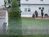 Definitely never expected to see a SWAT team over my backyard fence Saturday morning!-swat-team-summer-11-003.jpg