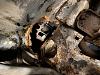 1982 300CD Rust Battery Tray Repair-img_4394.jpg