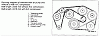 Serpentine belt pattern, 88 MB 300e-91311991.gif
